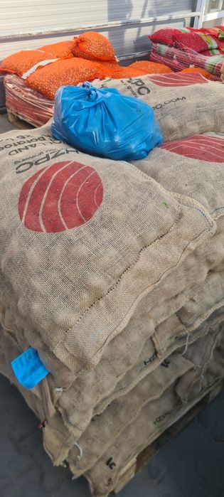 Cartofi de samanta albi și roșii de olanda 25 kg