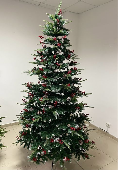 Ёлки на Новый год 2026