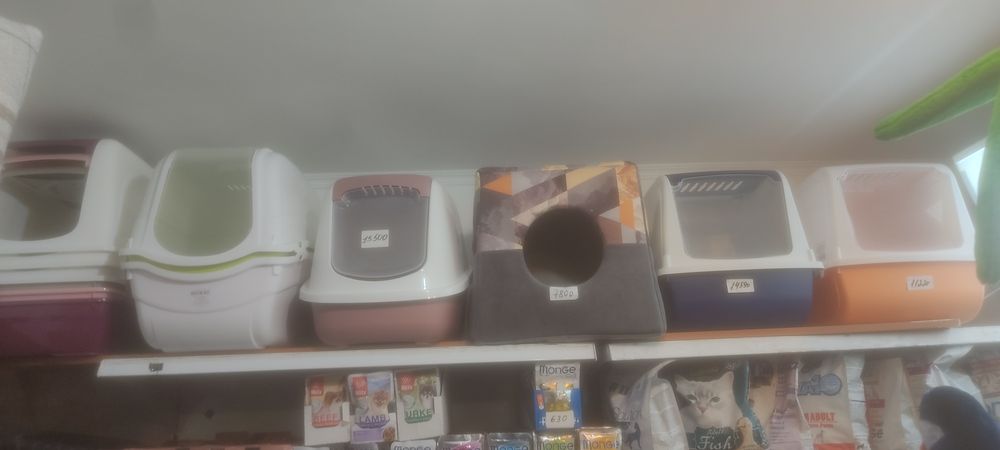 Био туалет для кошек