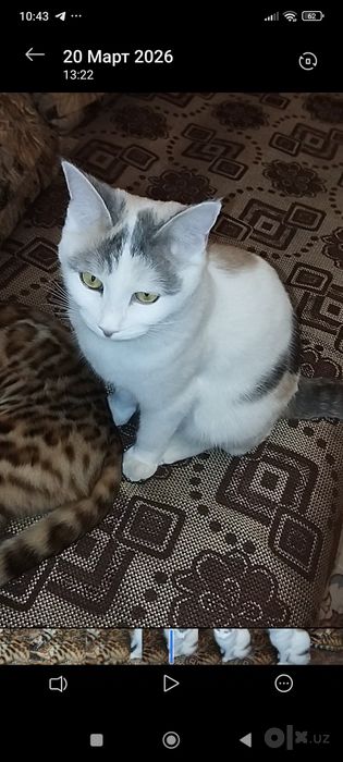 Киз бола, 2 йош.