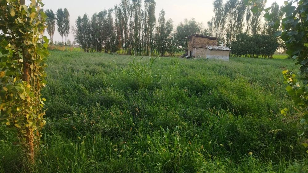 31 сотки Срочно продается участок по цене земли