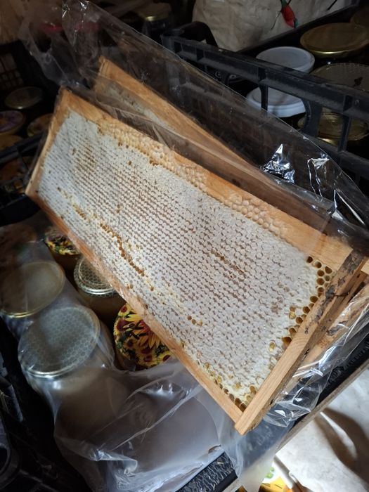 Produse apicole 100% naturale din stupină