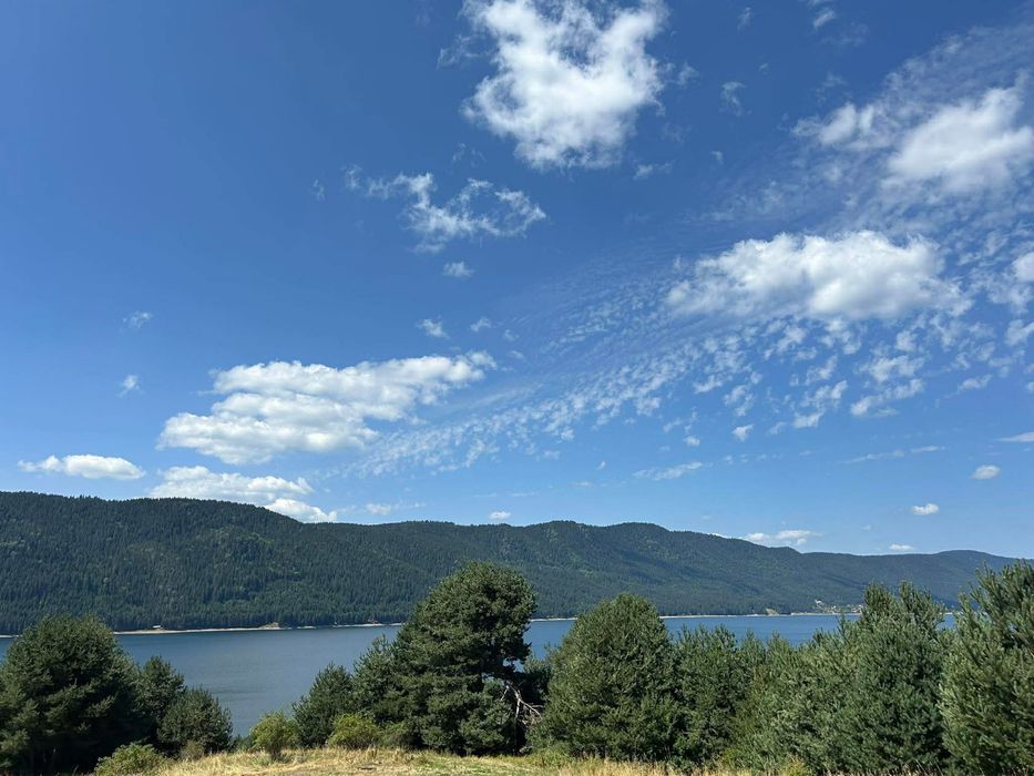 Продава се Парцел в Сърница - 1097 кв.м за 7 €/кв.м - Снимка #1