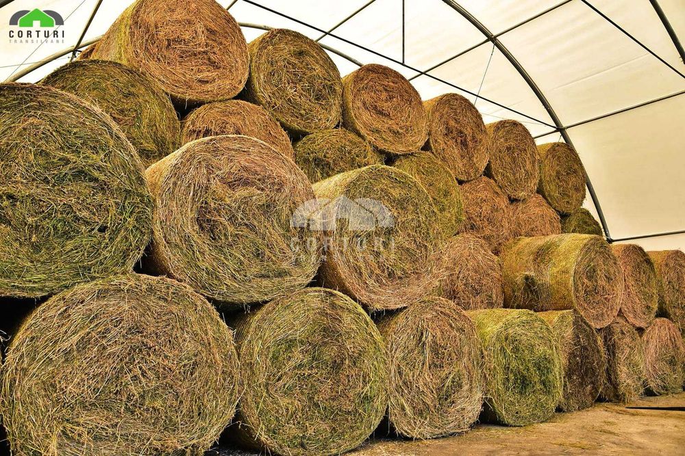 Cort industrial ( 37 m2 - 366 m2 )