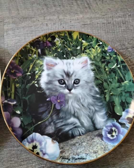 6 farfurii decorative ,de colectie