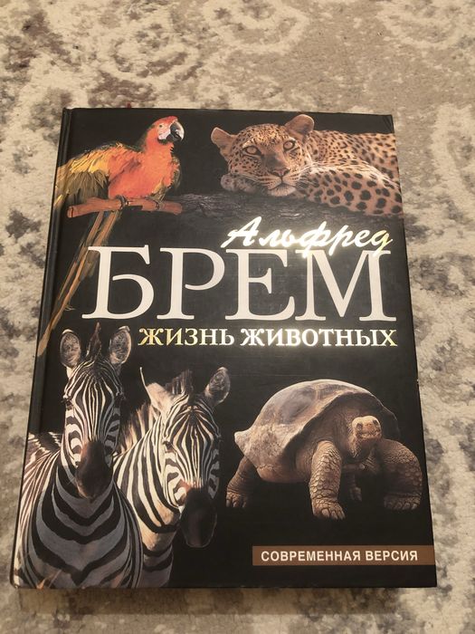 Энциклопедии разные