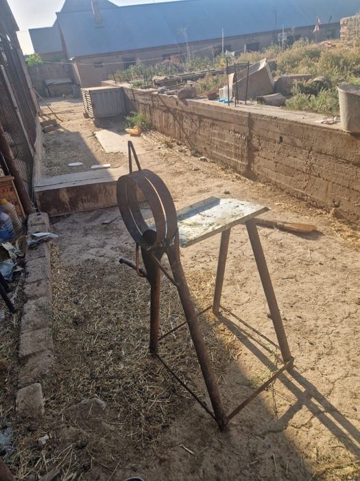 Шоп турайтын бар новыйй