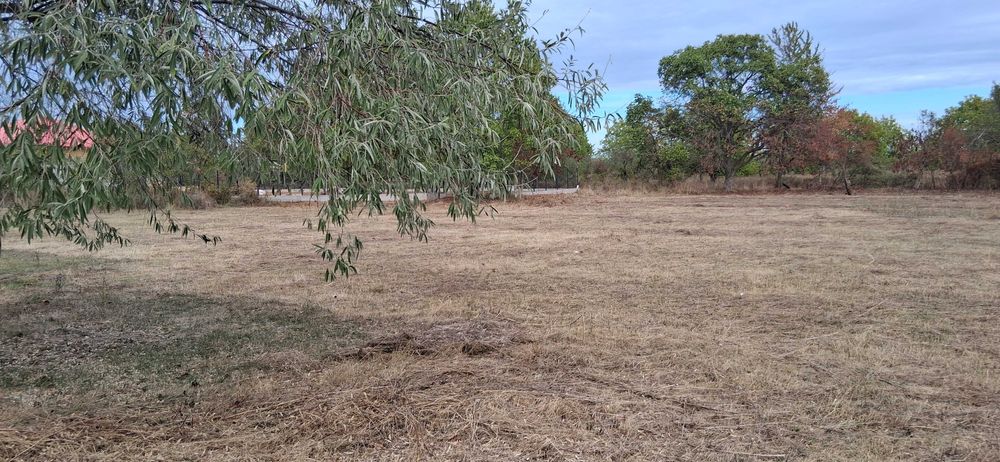 Teren intravilan 836 mp , deschidere 24 ml , zona linistita