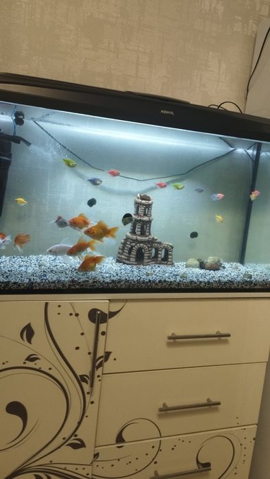 Продам аквариумы