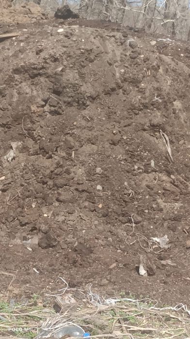 Навоз Бесплатно