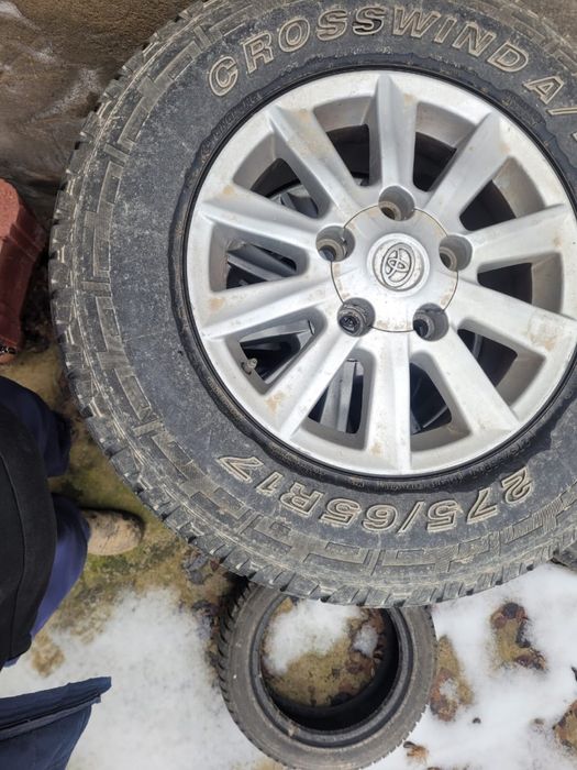 Диска жаксы балондары средний