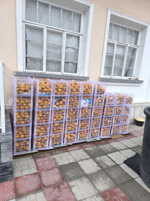 Срочно продаем для сушки опелцины приблизительно 500 кг