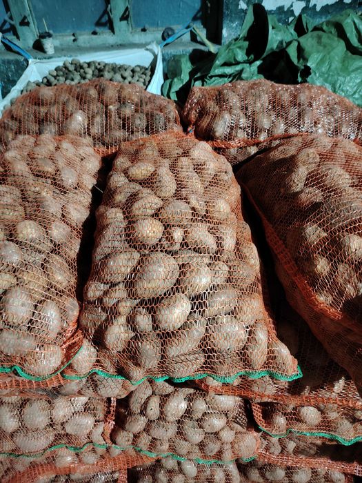 Cartofi de consum 2 lei/kg