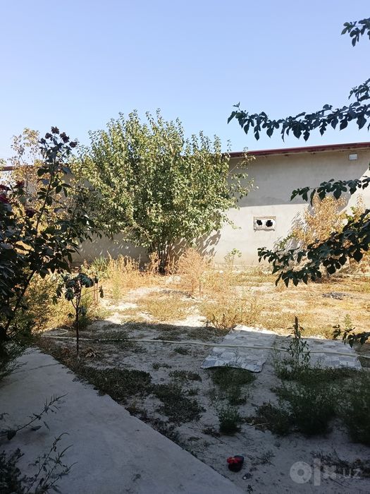 Dacha sotiladi  plem savhozdan utganda hama sharoeiti bor