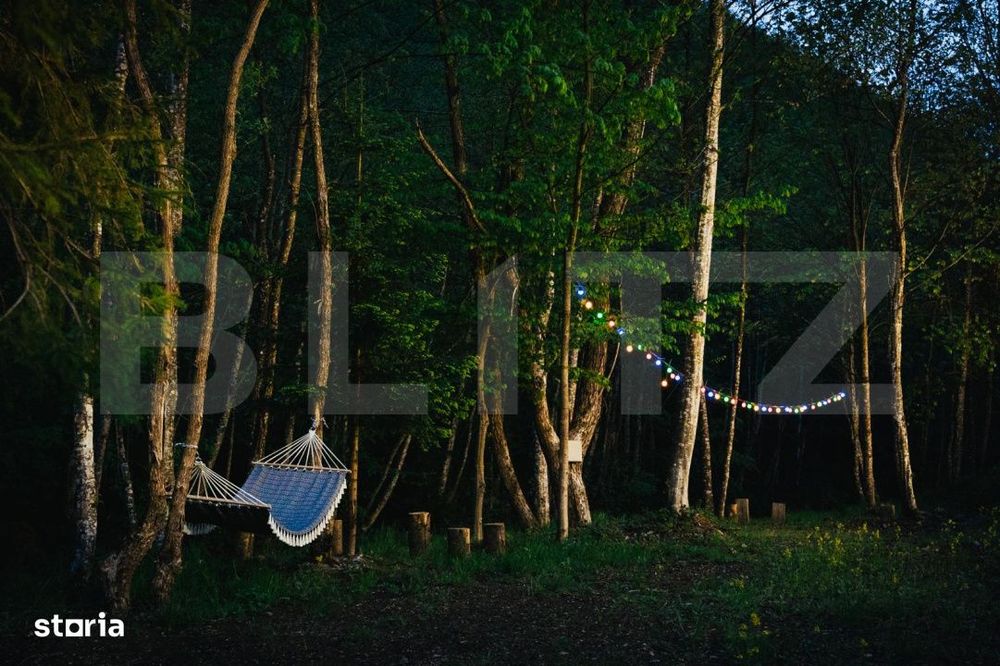 Resort montan premium de vanzare - Colibita