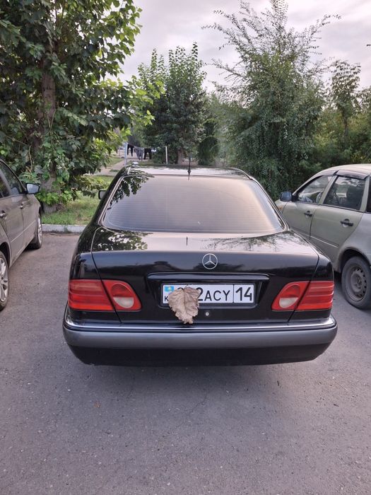 Мерседес лупатый