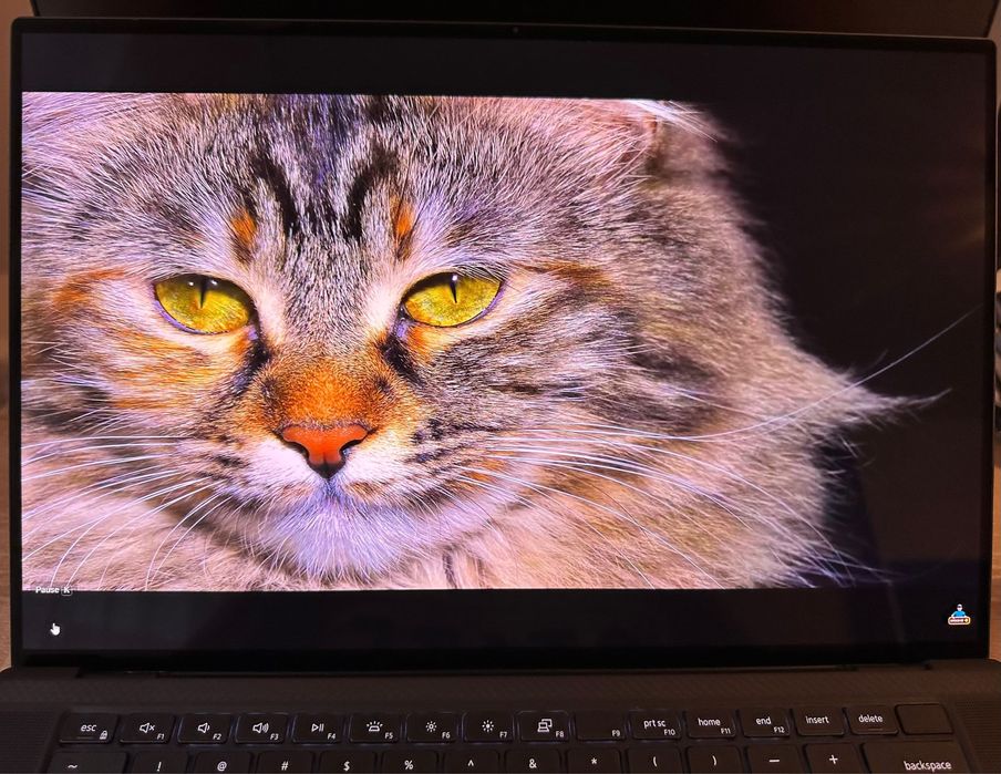 Dell Precision 5560 - Workstation Premium + Geanta laptop cadou