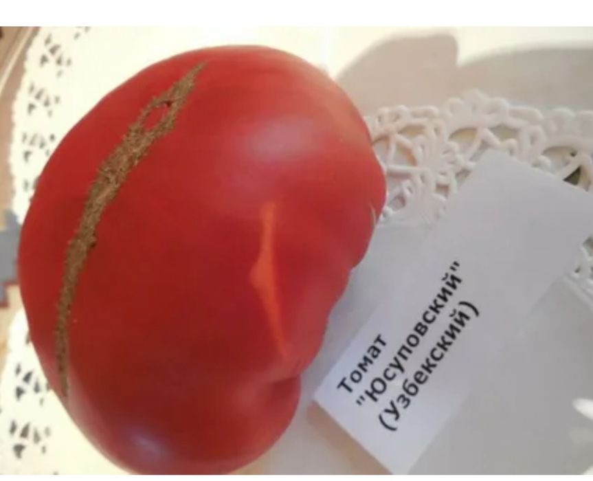 Томат Юсуповский розовый семена