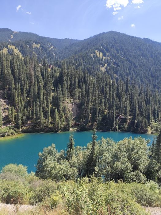 Туры Выезд на природу