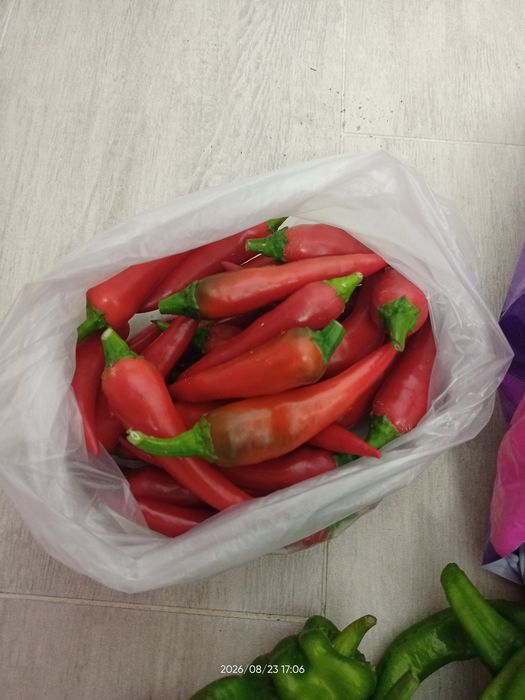 Продам перец горький