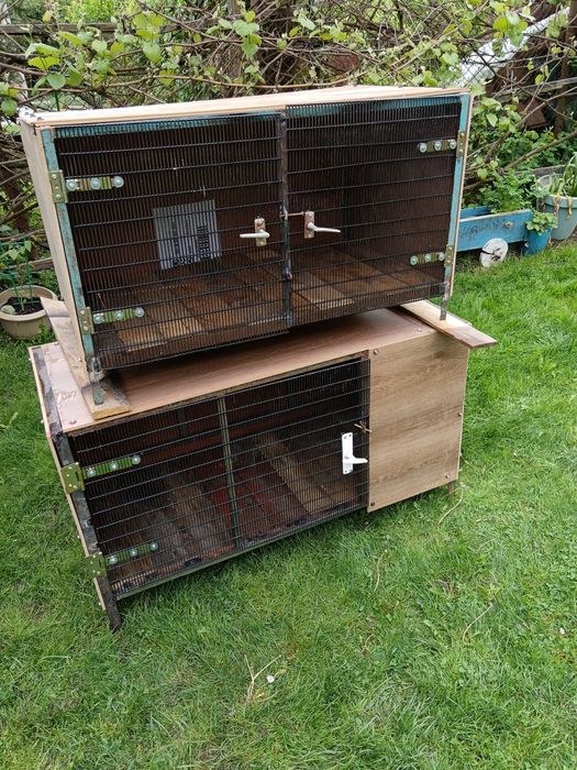 Cuști pentru iepuri