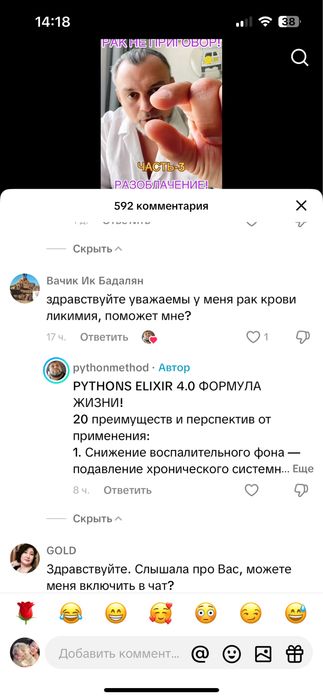 Щенки итальянского кане-корсо
