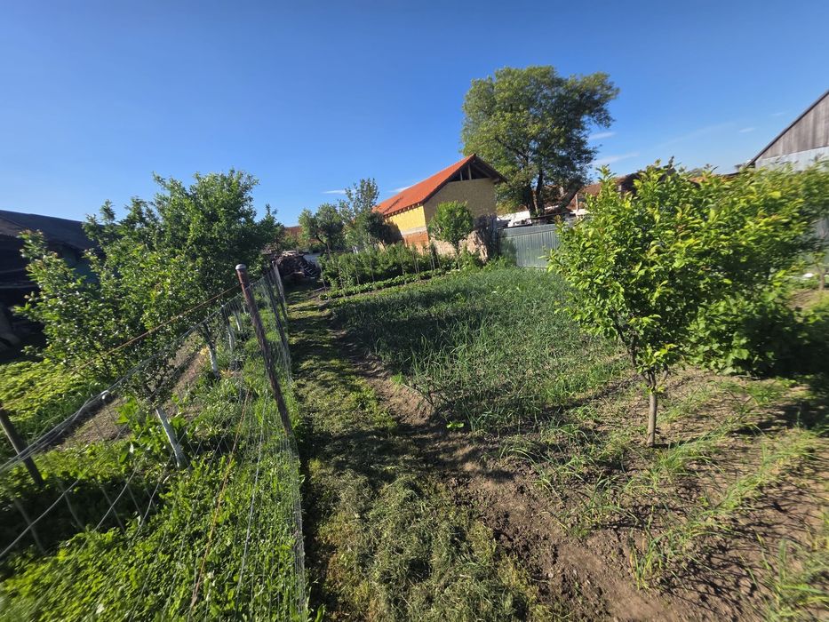 Crizbav,jud Brasov