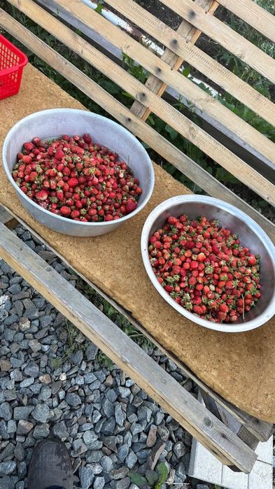 Продам дачу на Самсоновке