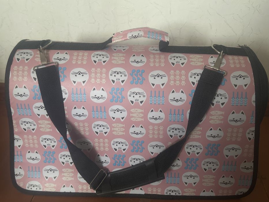 Отдам кошечку в хорошие руки