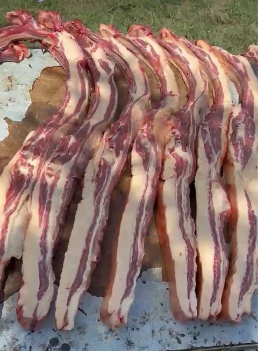 Жылкы еті|мясо канины