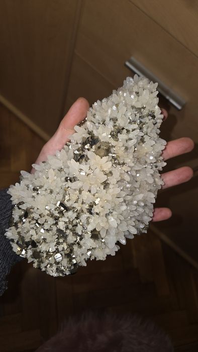 Floare de mina,Cavnic,Cuart laptos cu pirita.