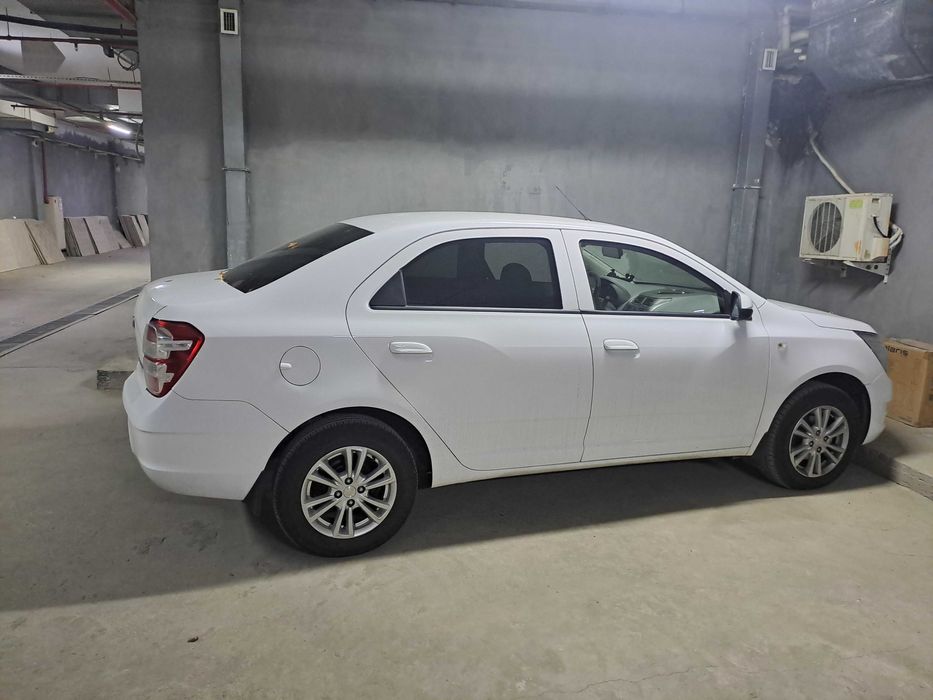 Cobalt-Style AT Plus, 2024