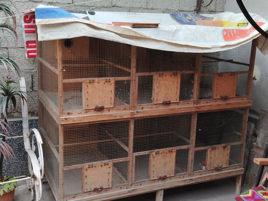 Qushlar uchun katak sotiladi