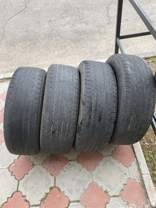 Продам ризины хорошие