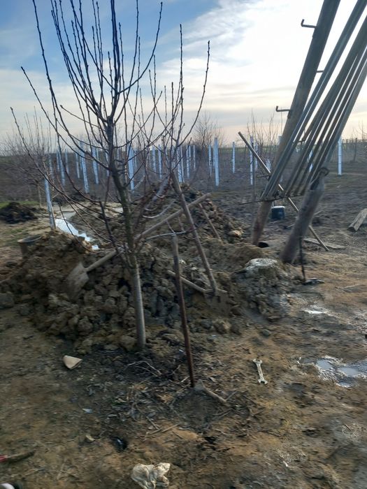 Foraje puturi la mica/mare adancime