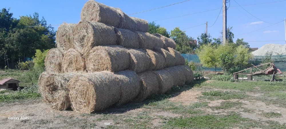 Baloti fân 120x120 – încărcare disponibilă