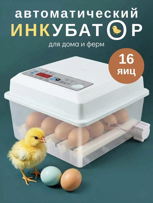 Inkubator sotiladi 16 talik