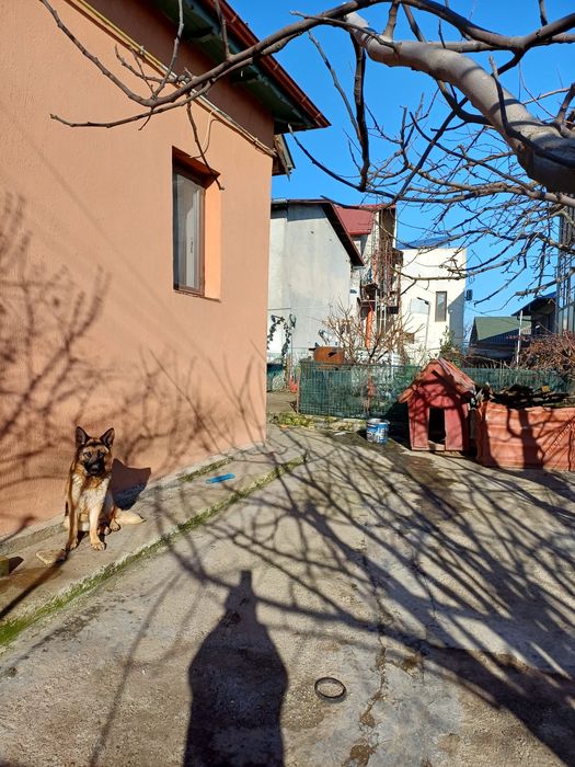 Casa de vanzare str Trandafirilor