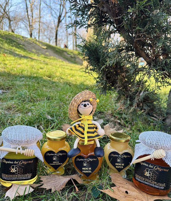 Miere, propolis - Certificat BIO!!! Matci, familii de albine, roiuri!