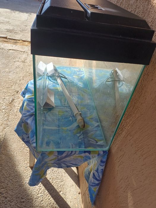 Acvariu 100 L   cu capac   si neon