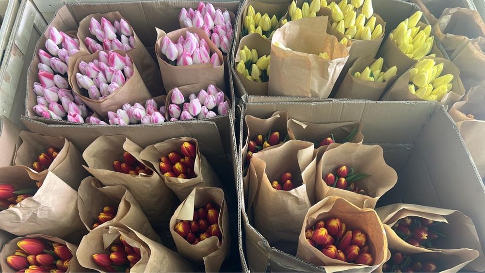 Тюлпаны по выгдной цене
