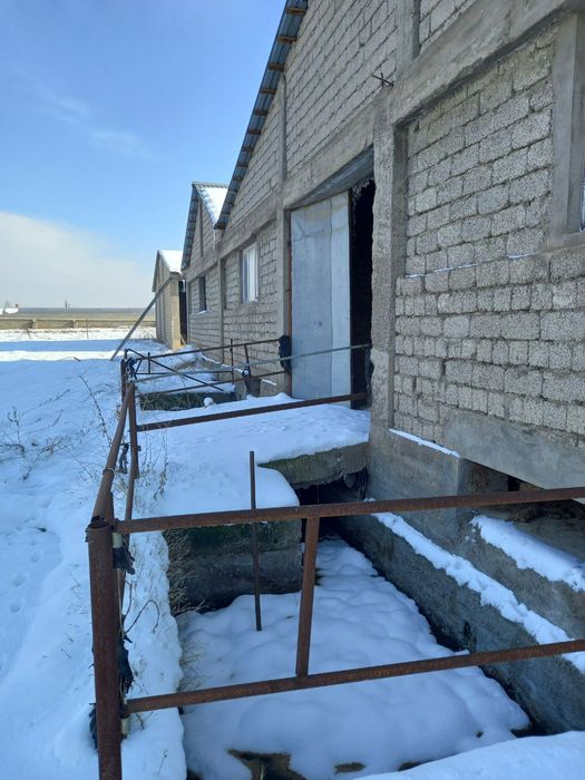 Фирма сотилади ер майдони 2 гектар фирмада сигир бука куй бокишга