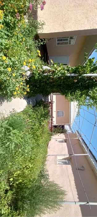 Үй сатылады