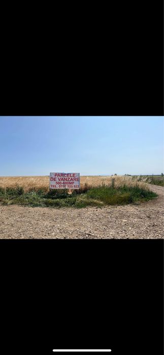 Terenuri de vanzare in Giarmata 1000MP si 500MP