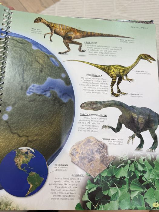 Книга на английском детская