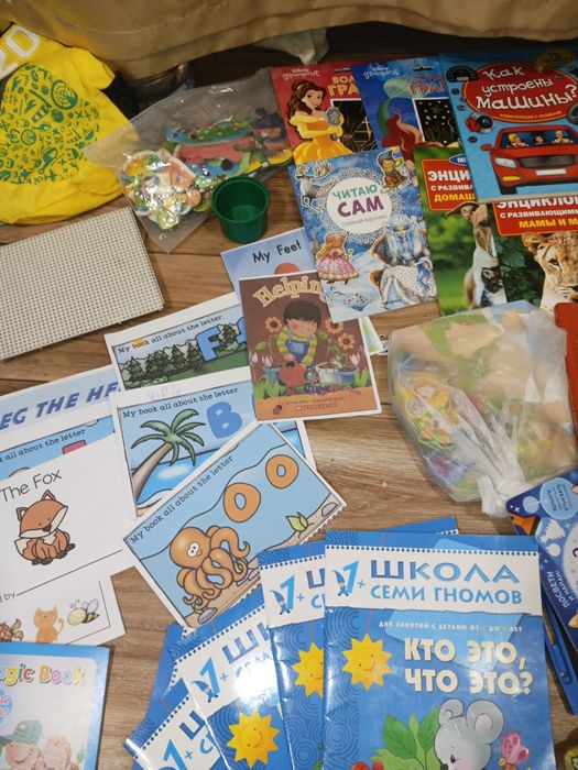 Развивающие игрушки, книжки