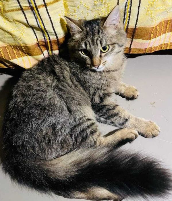 По дороге к счастью ... девочка Ева