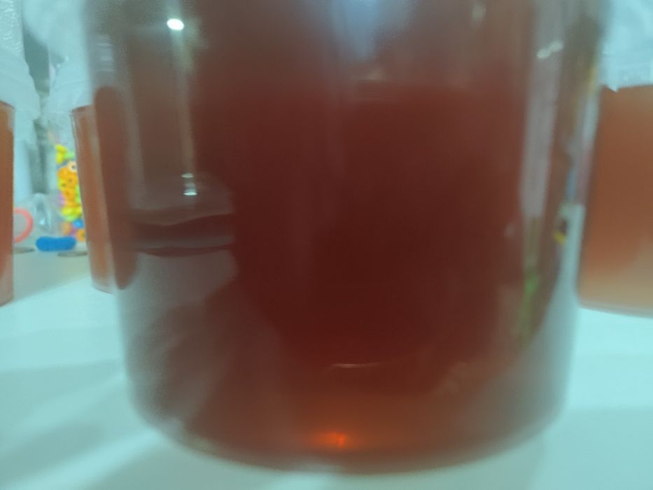 Продам горный мёд Лепсенский
