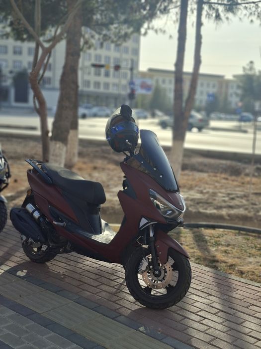 Madeli tegir 2024 yili