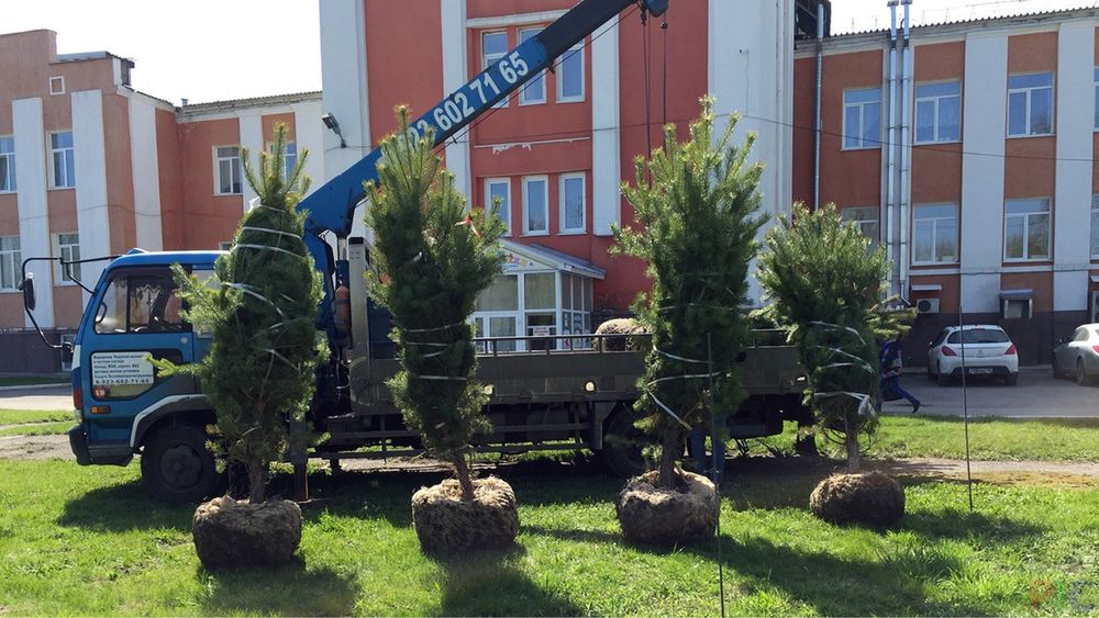 Услуги садовника в Алматы